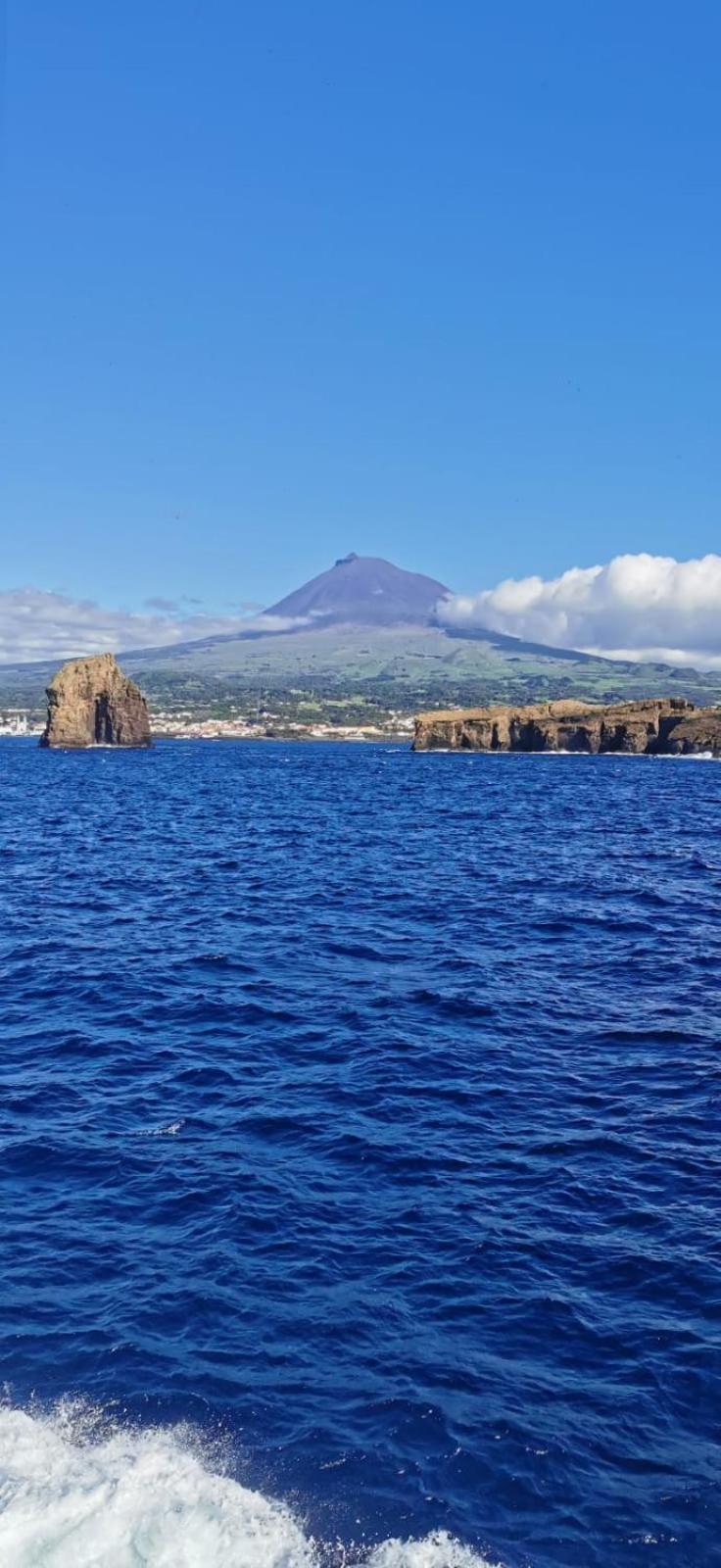 Azores Blue Bay Madalena (Azores) Exterior foto